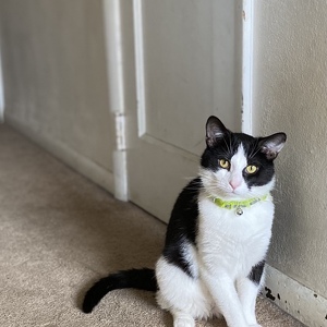 Fundraising Page: Courtney Ballauer